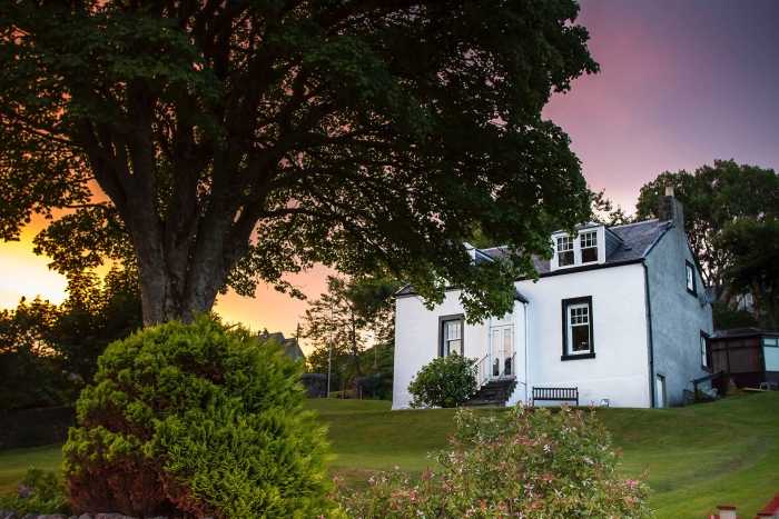 house behind a tree